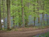 Hyacintenjogging 2015 - 52.jpg